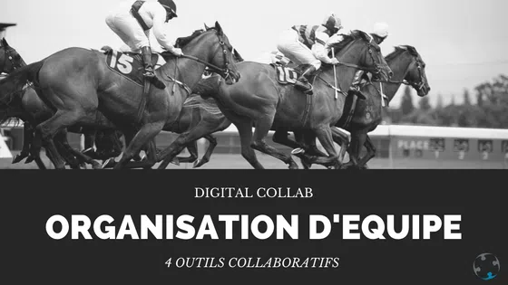 Organisation et équipe