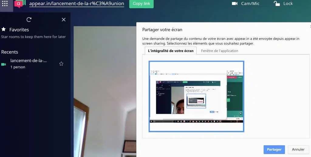 Réunion productive : partage et présentation sur appear-in